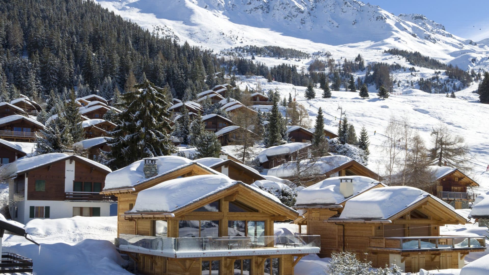 Hotel, Villa or Chalet